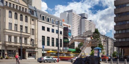 Orange Plaza, Powierzchnia handlowo- usługowa